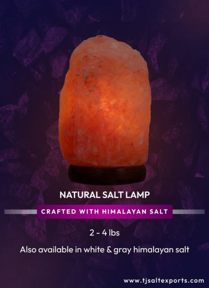 Natural Salt Lamp (2 - 4 lbs)