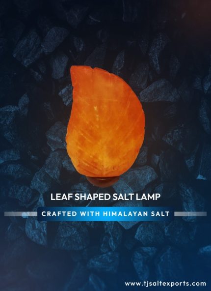 Bird Shaped Salt Lamp