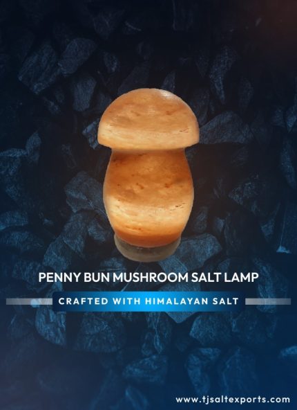Penny Bun Mushroom Salt Lamp