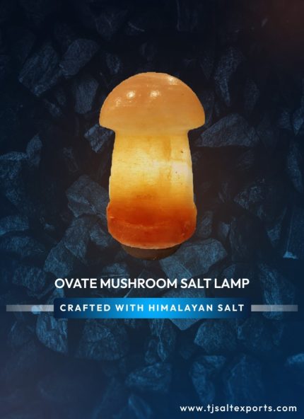 Ovate Mushroom Salt Lamp