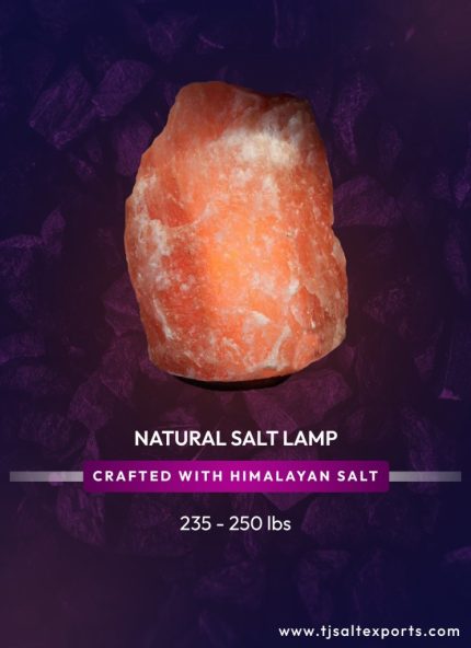 Natural Salt Lamp (235 - 250 lbs)