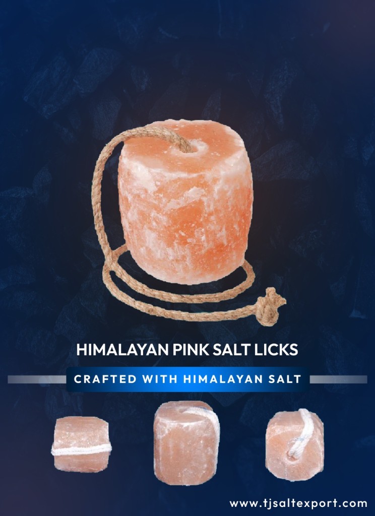 Animal Lick Salt