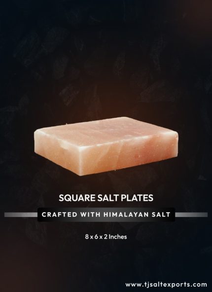Square Desert Plates (6 x 6 x 0.5 Inches)