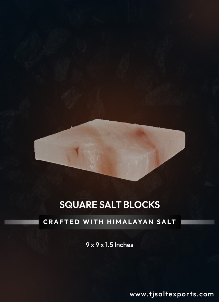 Salt Bricks and Tiles
