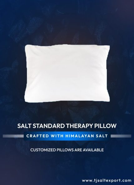 Salt Standard Therapy Pillow
